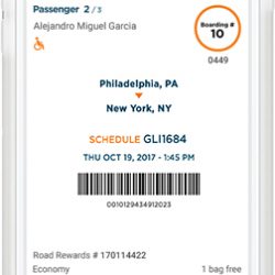 E-Ticket purchased via the Greyhound Bus App (USA).