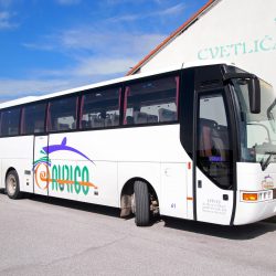 Avrigo Bus services the Lake Bled route