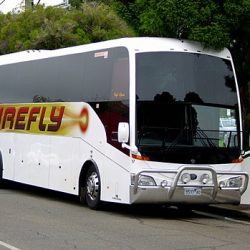 firefly-bus