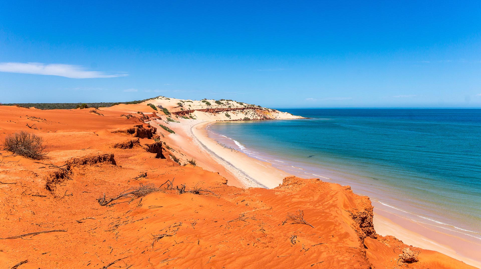 Australia coastline and beach