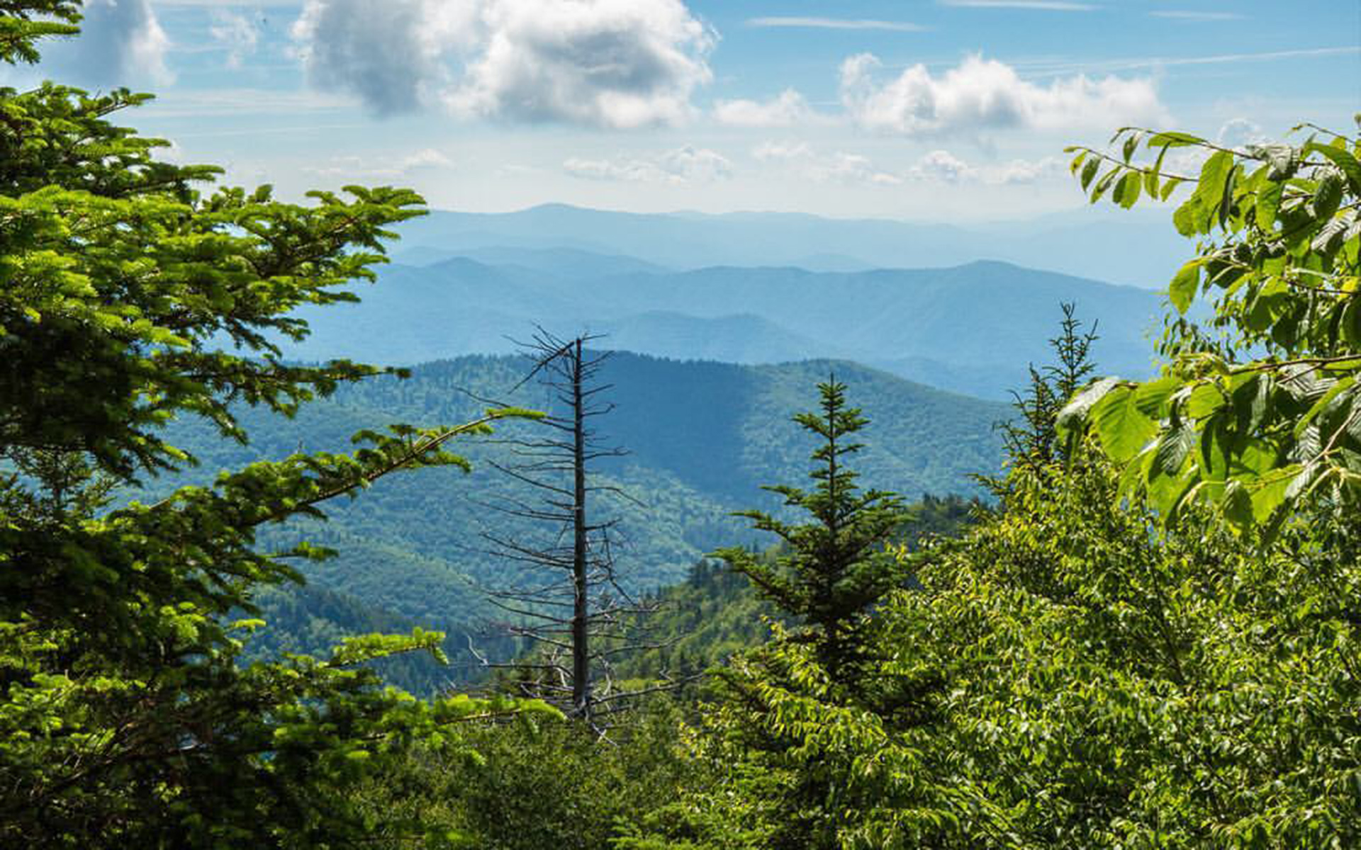 Great Smoky Mountains National Park, Tennessee–North Carolina border