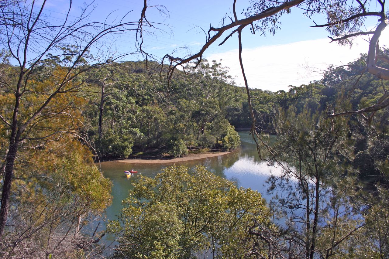 Middle Harbour, Garigal National Park, NSW