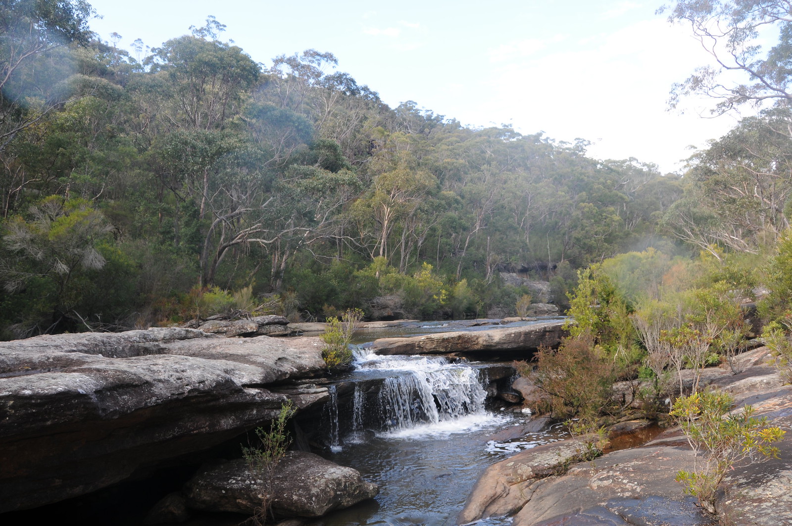 Heathcote National Park - NSW Sydney Australia